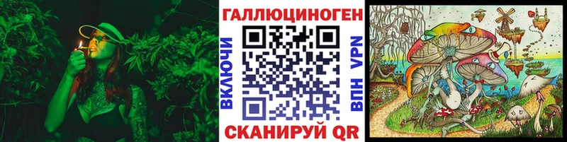 ссылка на мегу сайт  Боровичи  Галлюциногенные грибы Psilocybine cubensis 
