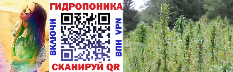 Конопля VHQ  Боровичи 